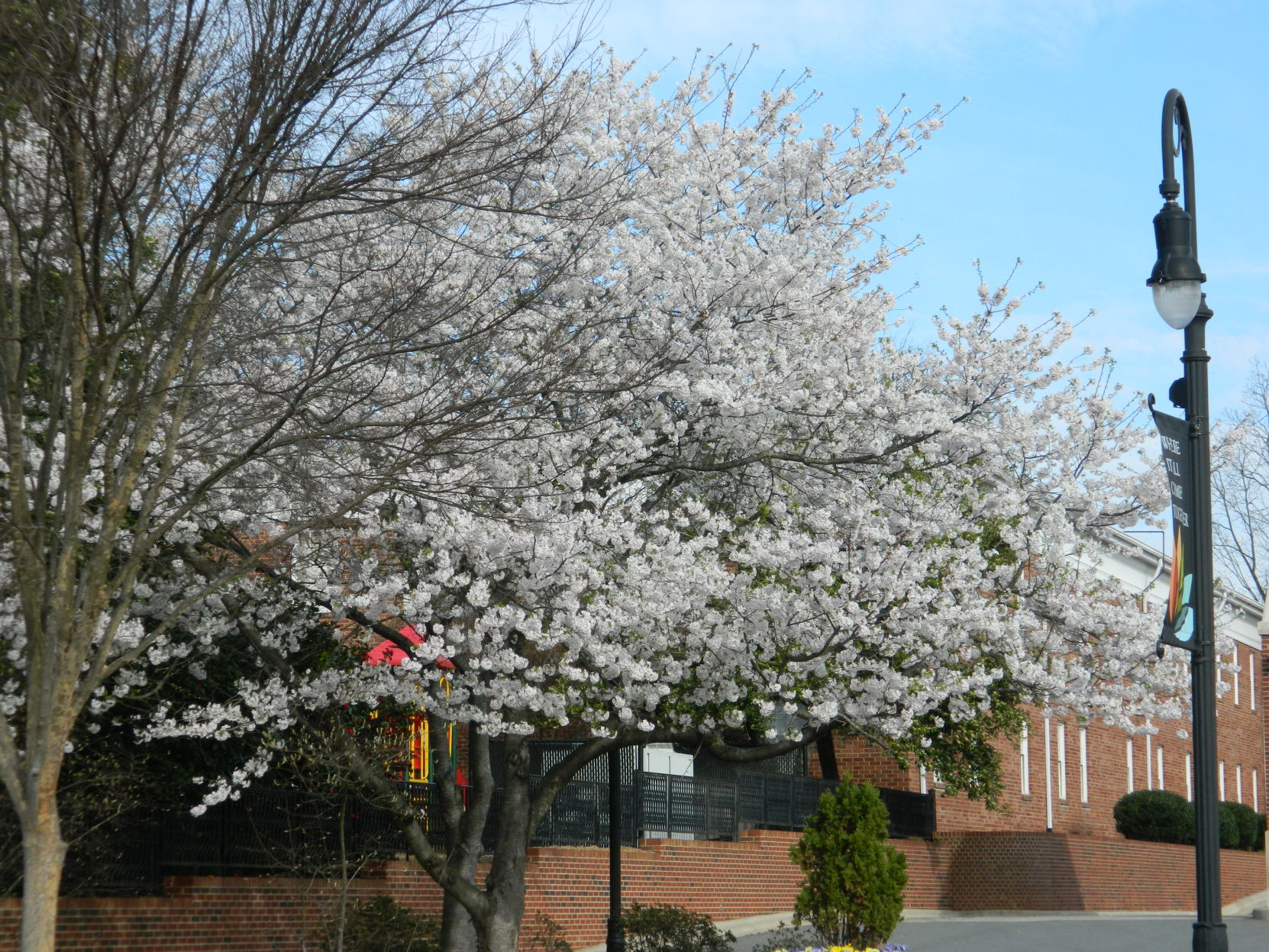 Spring photos (28).JPG